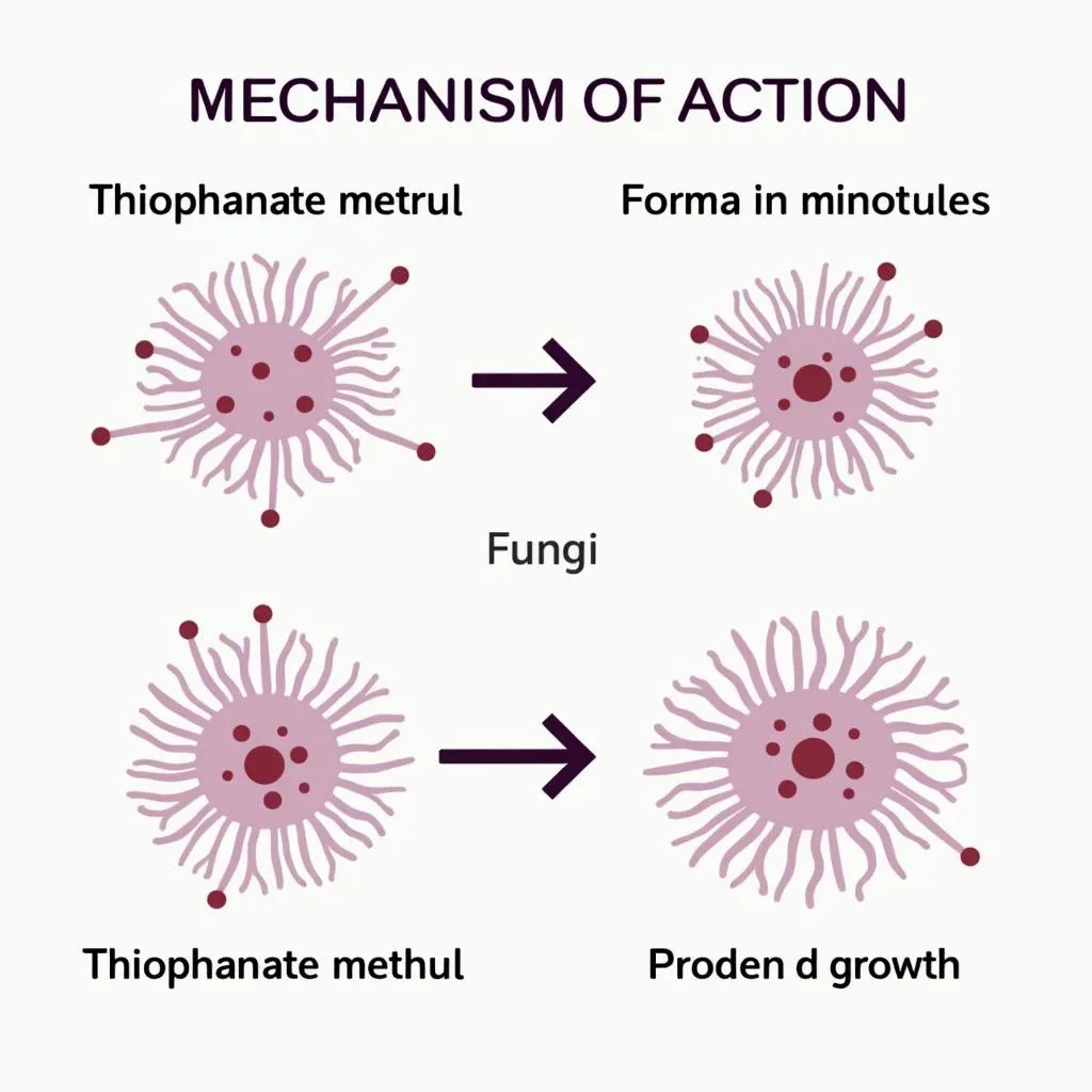 Tác dụng của thiophanate methyl trong mỹ phẩm