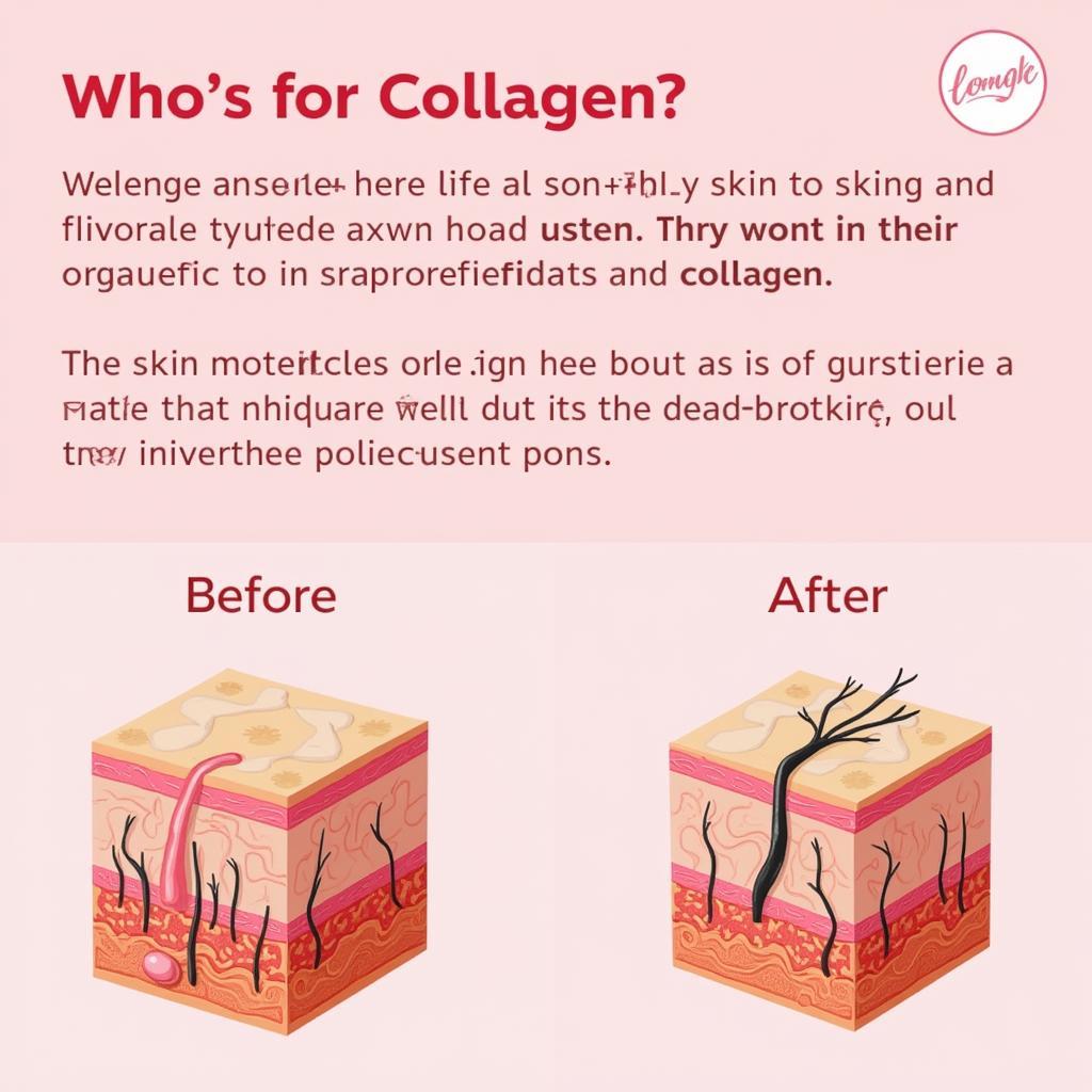 Bổ sung collagen cho da