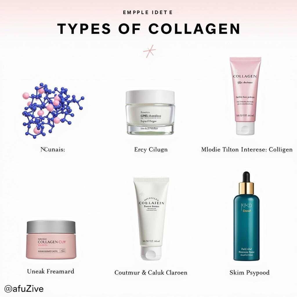 Các Loại Collagen Trong Thẩm Mỹ