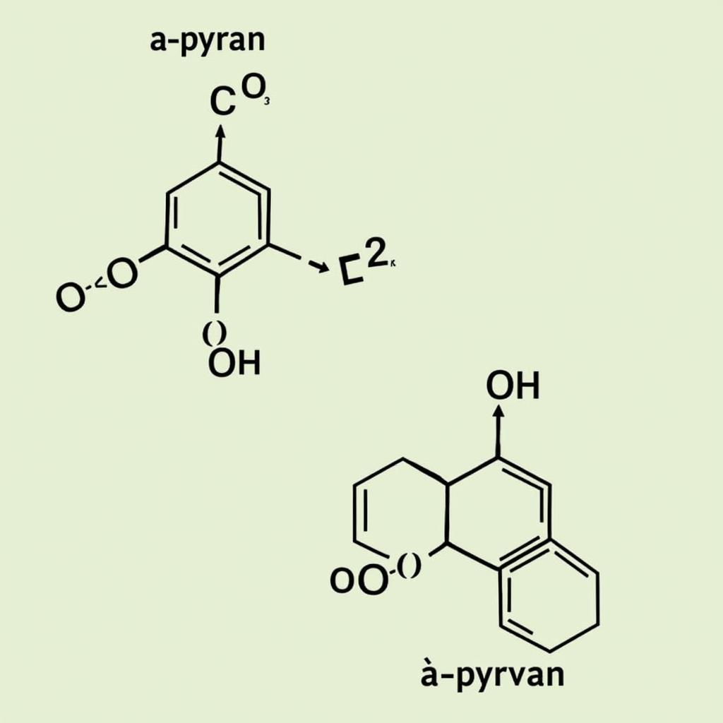 Cấu trúc phân tử Pyran