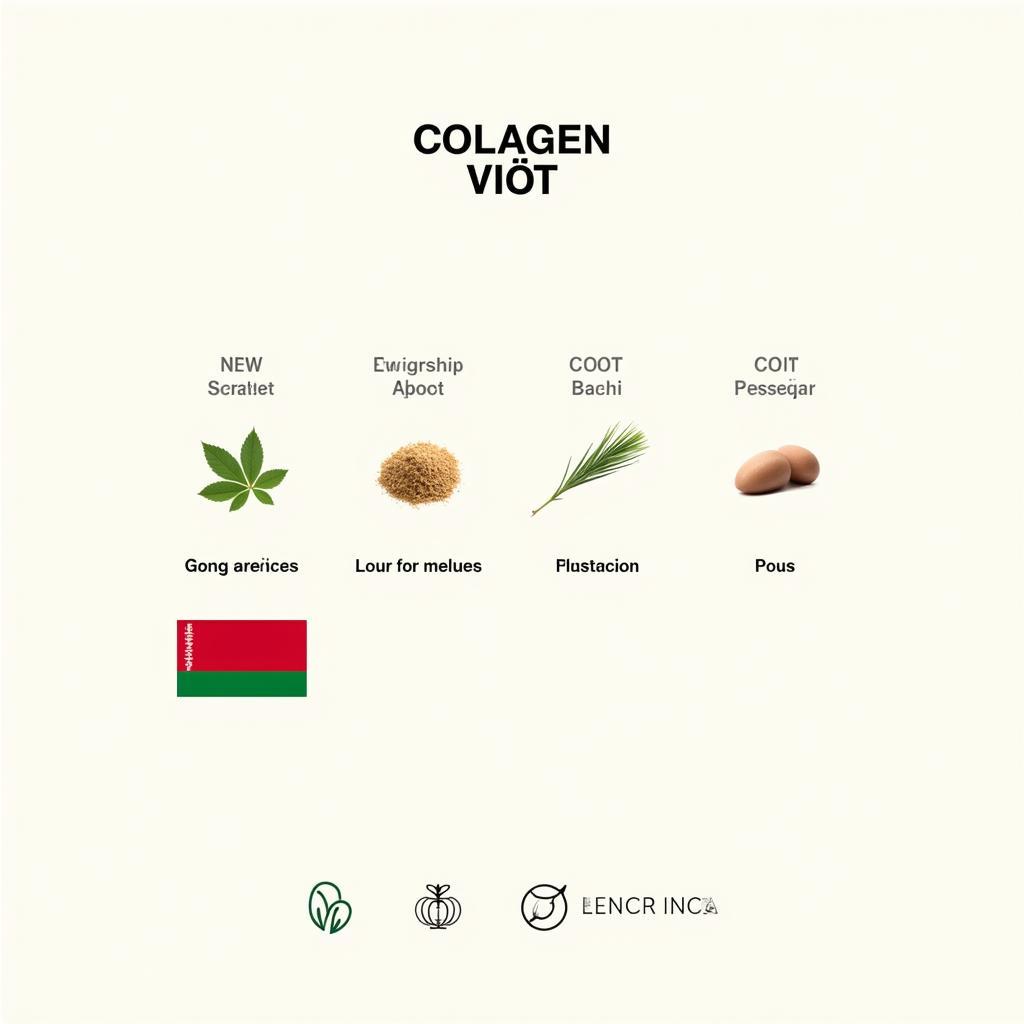 Colagen Việt và Hóa Chất Belarus Được Chọn Lọc