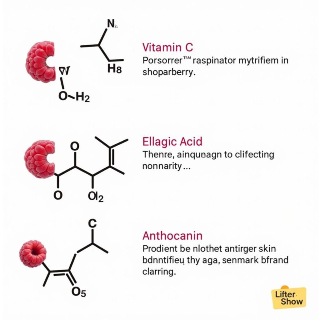 Hợp chất hóa học cây mâm xôi rừng: Vitamin C, ellagic acid, anthocyanin