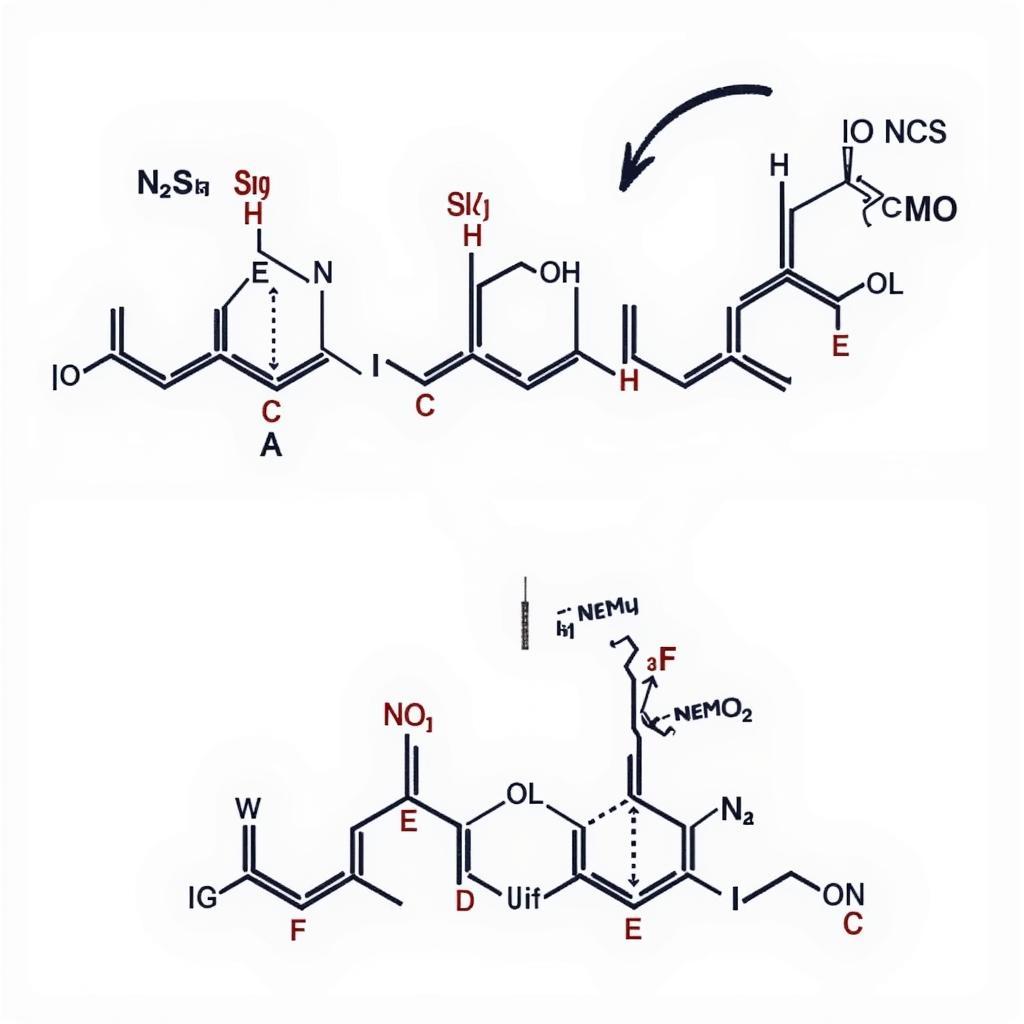 Cấu trúc phân tử NS200