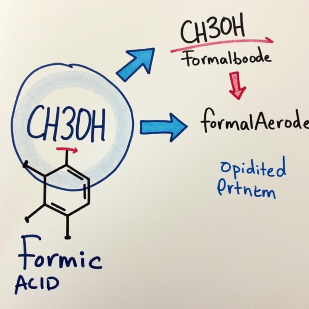 Phản ứng oxy hóa của CH3OH