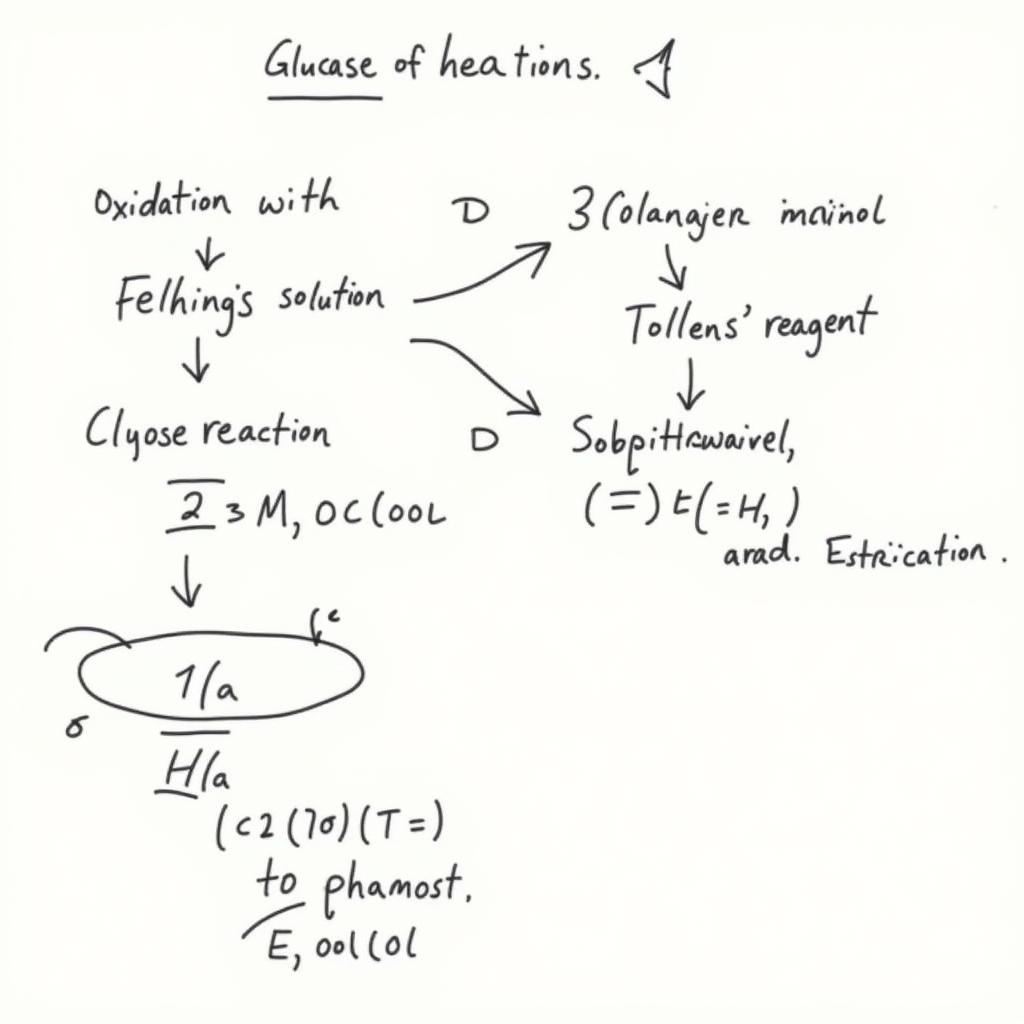 Phản ứng hóa học của Glucose