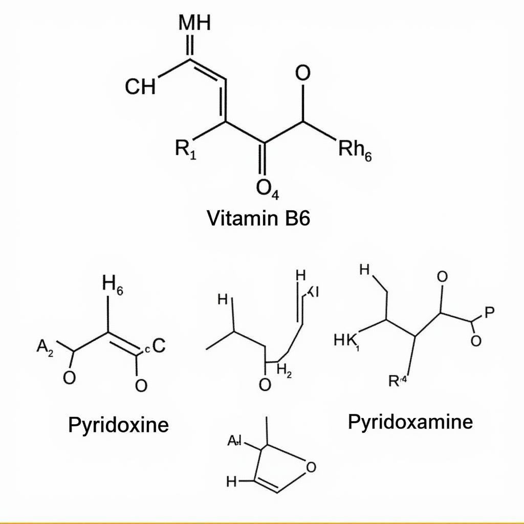 Cấu trúc hóa học của Vitamin B6