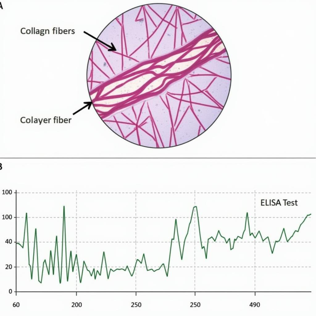 Ứng dụng ELISA trong thẩm mỹ Collagen