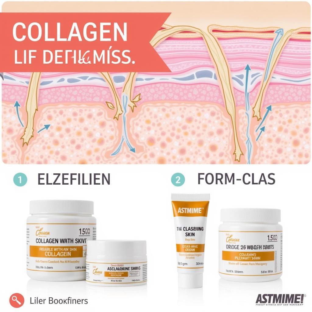 Vai trò của collagen trong làm đẹp