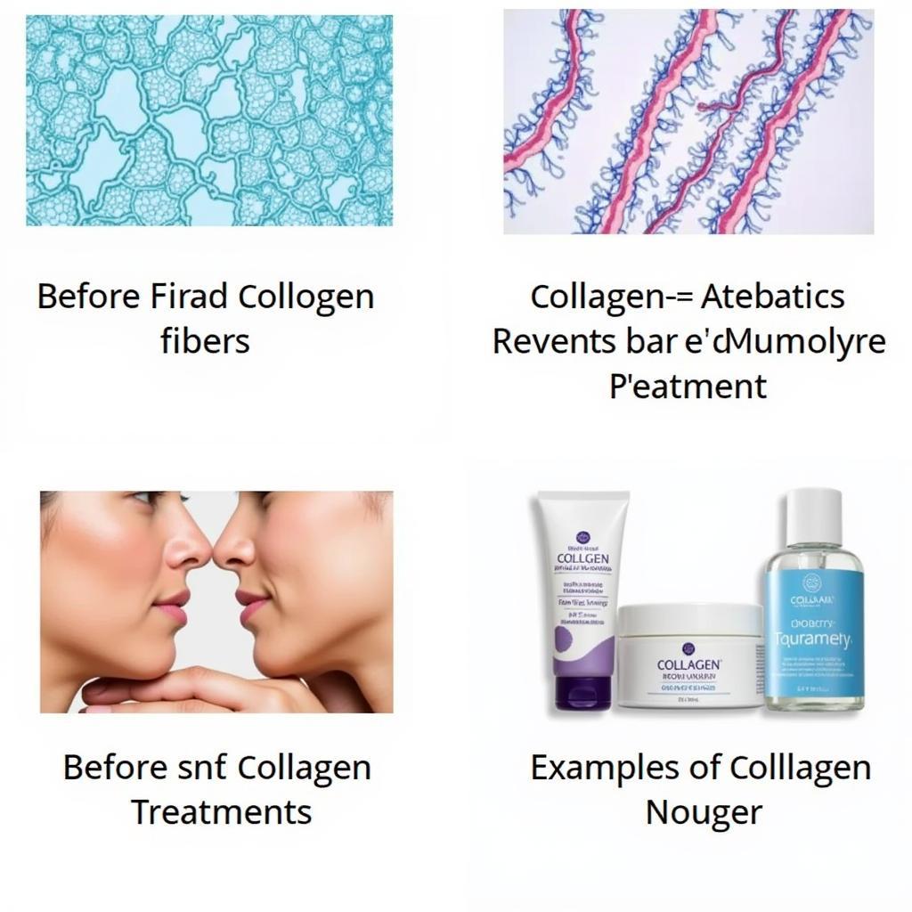 Vai Trò Của Collagen Trong Đào Tạo Da Liễu Thẩm Mỹ