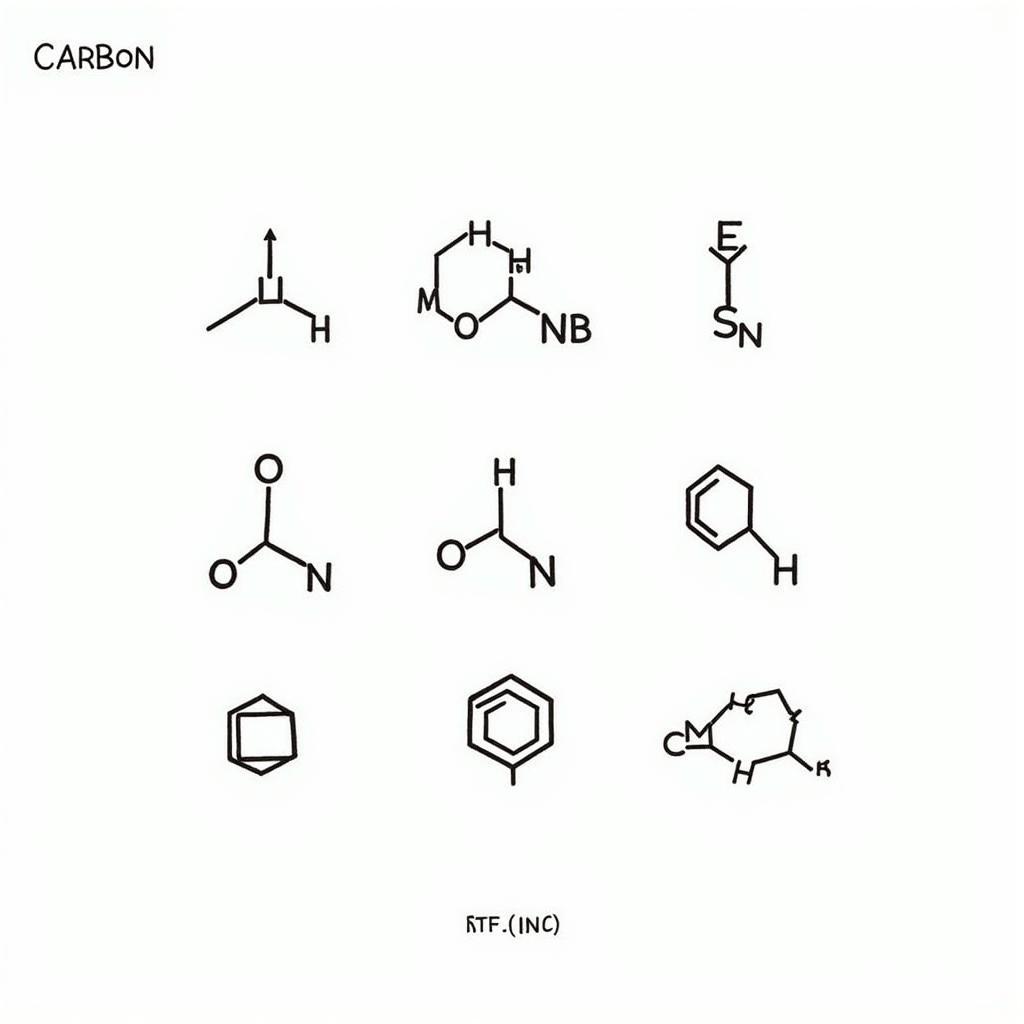 Sự Đa Dạng của Hợp Chất Cacbon