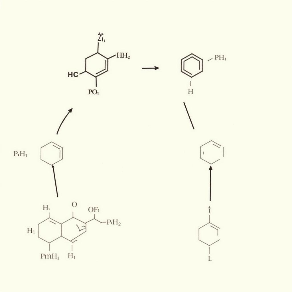 Phản ứng của Phenol với HNO3