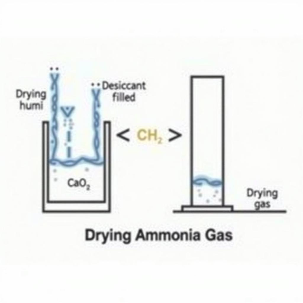 Sơ đồ minh họa phương pháp làm khô khí NH3