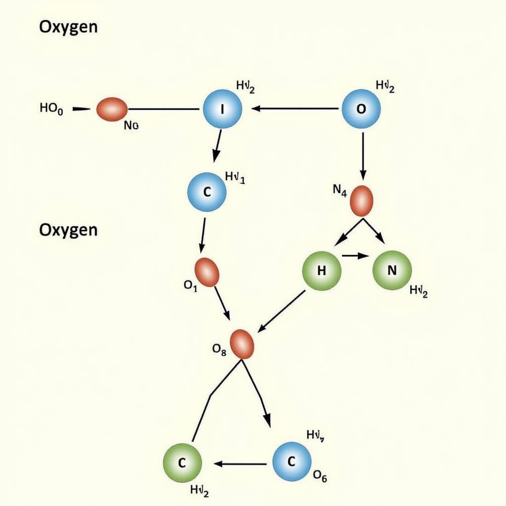 Mô tả phản ứng oxi hóa